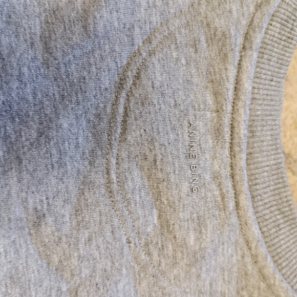 Anine Bing Kenny Sweatshirt Motel - Picture 4 of 8